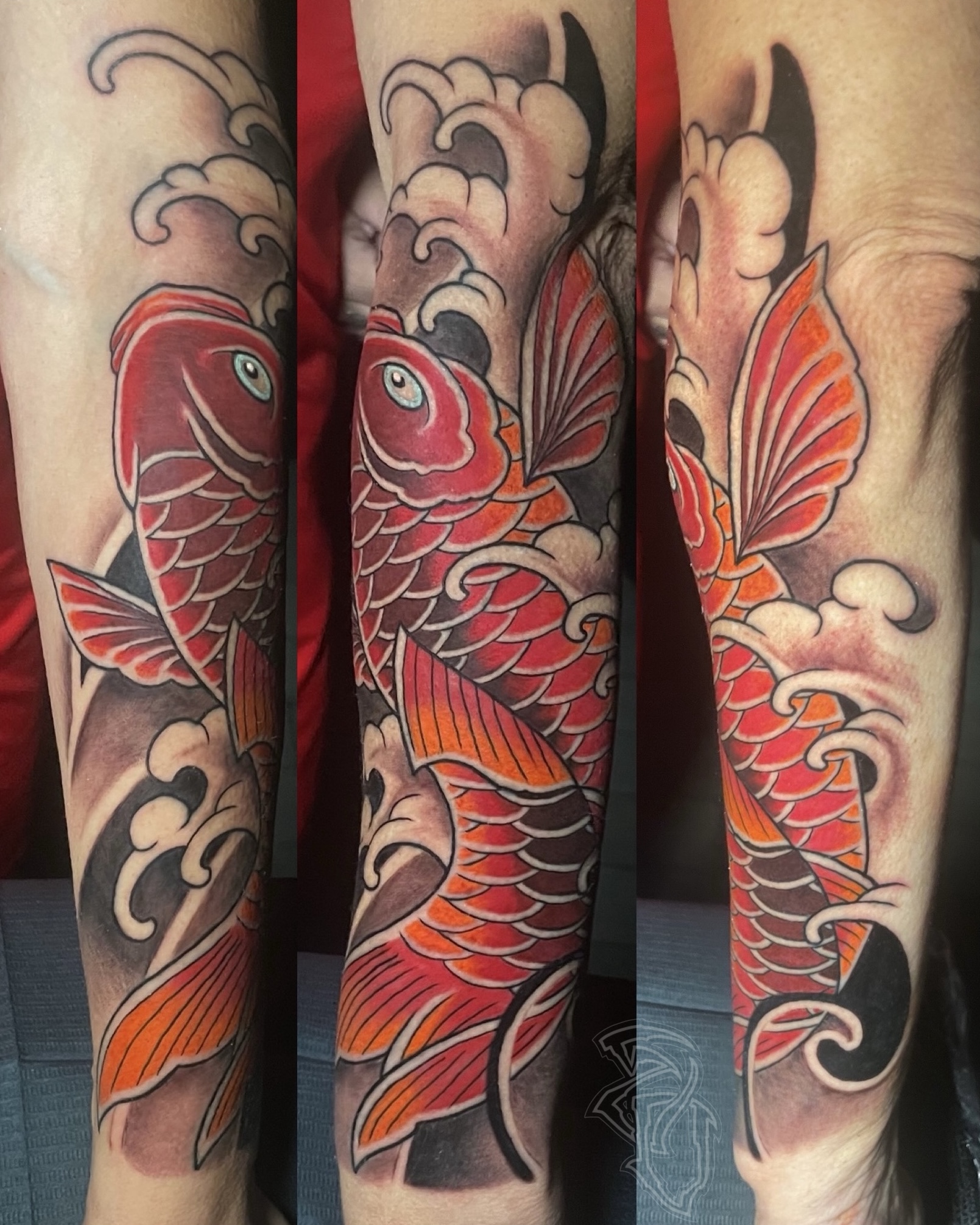 Koi